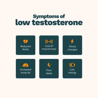 glp-1 and testosterone Receptor Agonists as Treatments for Type 2 Diabetes GLP-1 Agonists & Testosterone Health